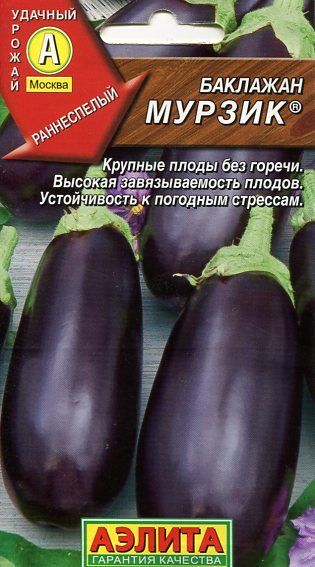 Мурзик - Сорта БАКЛАЖАНОВ с отзывами и фото - tomat-pomidor.com - форум